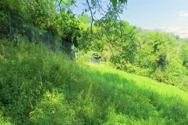 #20924 Appezzamento agricolo collinare di 5270 mq in vendita - foto 6