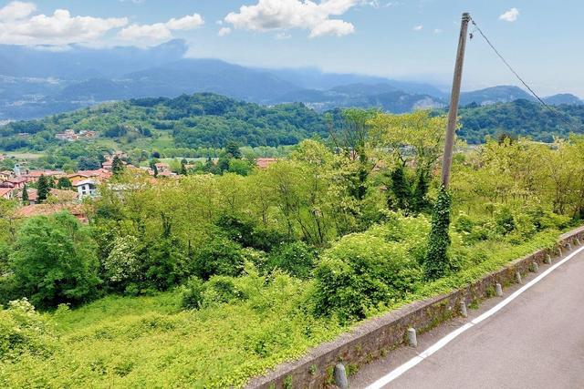 #20924 Appezzamento agricolo collinare di 5270 mq in vendita - foto 2