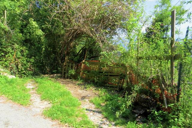 #20924 Appezzamento agricolo collinare di 5270 mq in vendita - foto 3