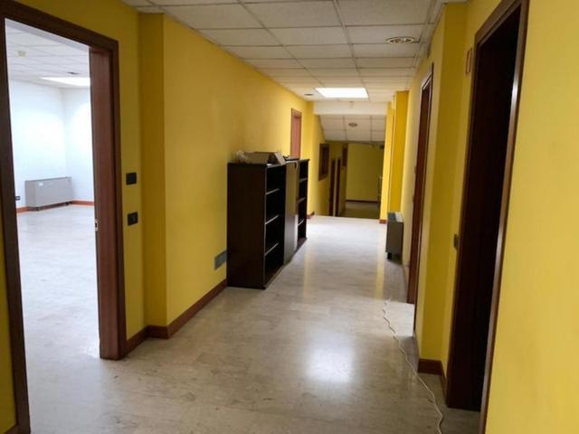 Grandi dimensioni in vendita