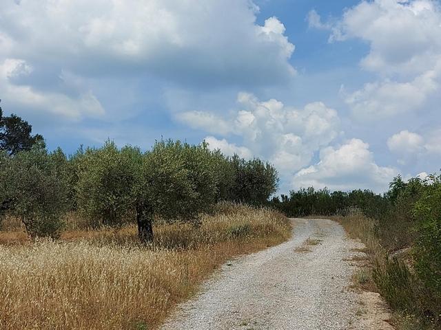 Rustici e casali in vendita