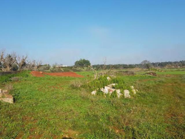 #23969 Terreno agricolo di 22.063 mq in vendita - foto 5
