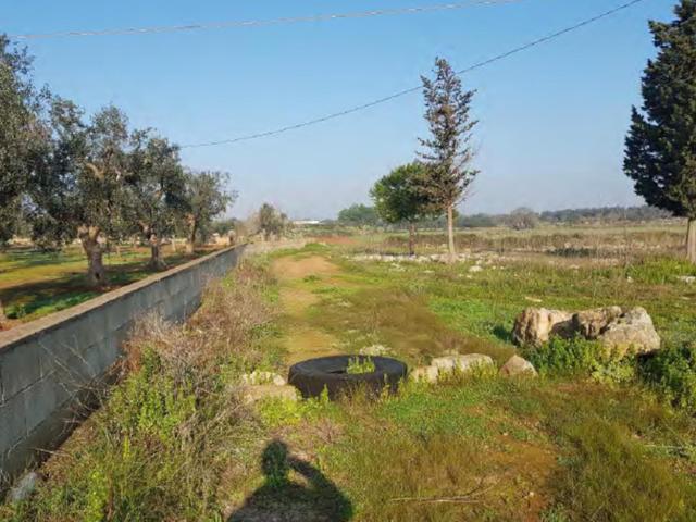 #23969 Terreno agricolo di 22.063 mq in vendita - foto 4