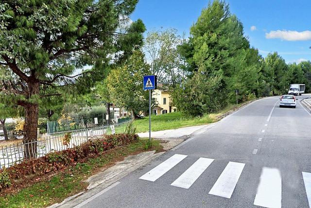 Agricoli in vendita