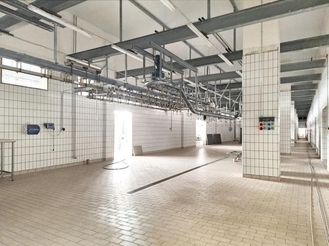 Stabilimenti produttivi in vendita
