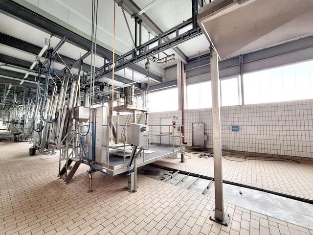 Stabilimenti produttivi in vendita