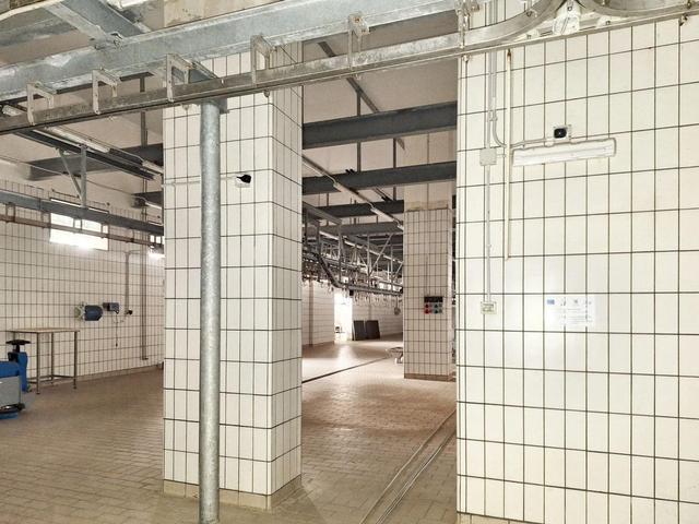 #25045 Stabilimento produttivo in vendita - foto 7