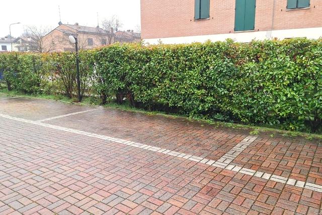 Appartamenti in vendita