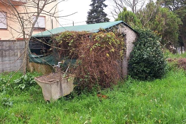 Indipendenti in vendita