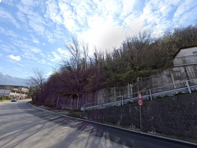 Agricoli in vendita