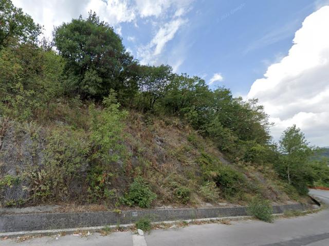 Agricoli in vendita