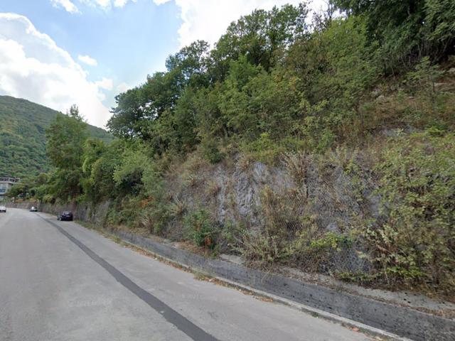 Agricoli in vendita