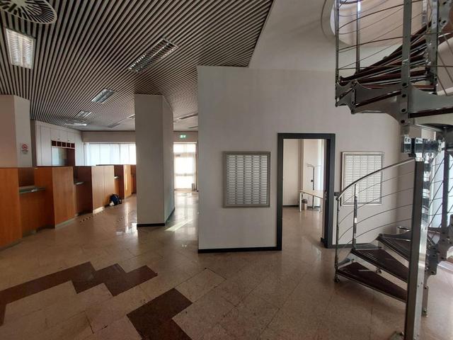 Grandi dimensioni in vendita