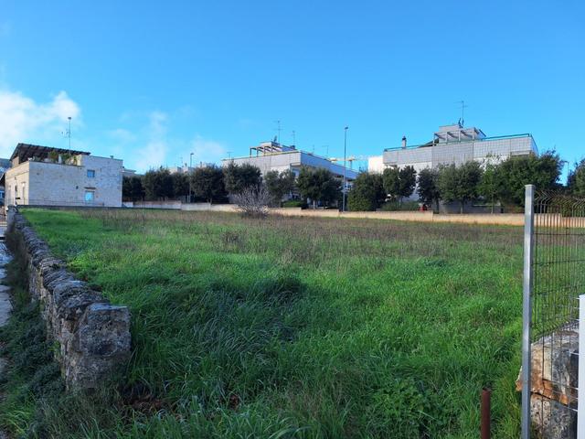 #2638083 Lotto edificabile 1.282 mq con RSAA approvata e cantierizzabile in vendita - foto 3