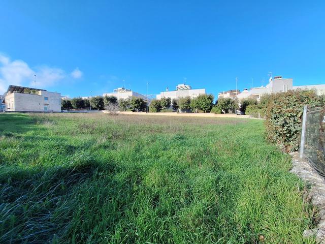 #2638083 Lotto edificabile 1.282 mq con RSAA approvata e cantierizzabile in vendita - foto 8