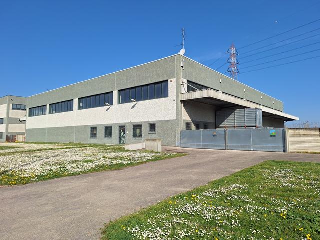 Artigianali in vendita