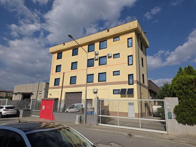Grandi dimensioni in vendita