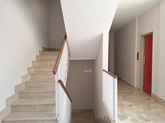 Grandi dimensioni in vendita