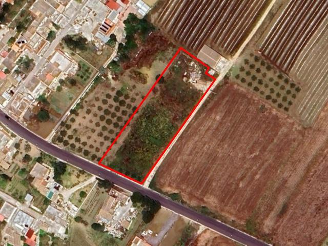Agricoli in vendita