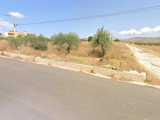 Agricoli in vendita