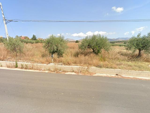 Agricoli in vendita