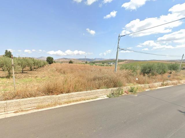 Agricoli in vendita