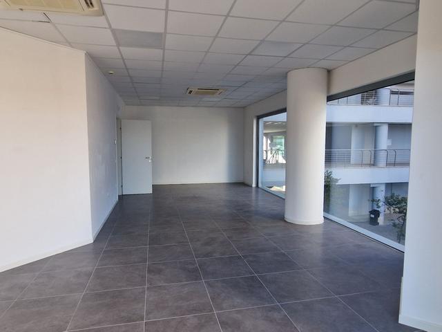 Grandi dimensioni in vendita