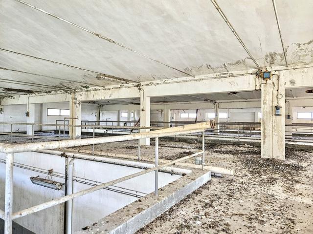#2536548 Ex cantina vinicola con area pertinenziale in vendita - foto 13
