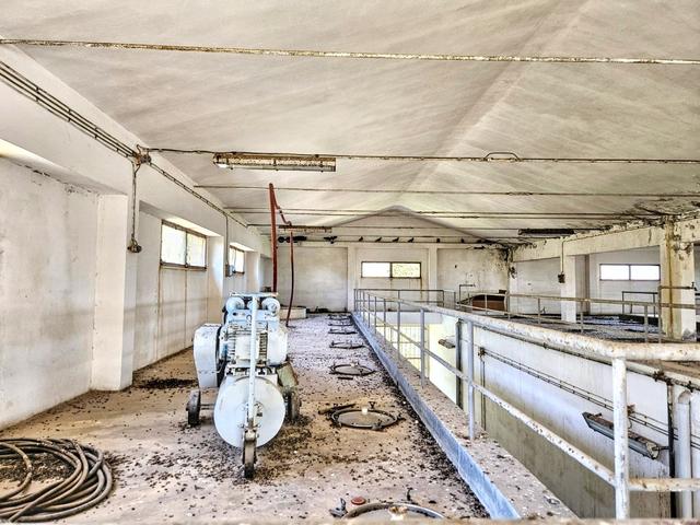 #2536548 Ex cantina vinicola con area pertinenziale in vendita - foto 14