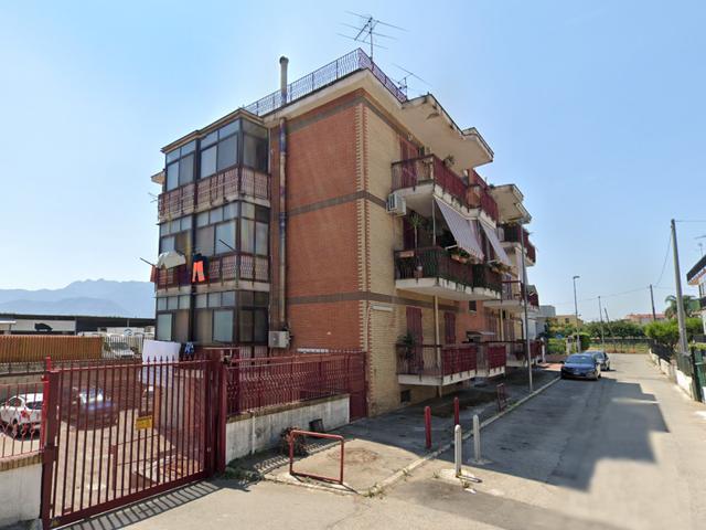 Grandi dimensioni in vendita