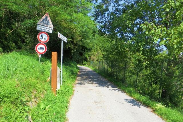 #20925 Appezzamento boschivo collinare di 440 mq in vendita - foto 11