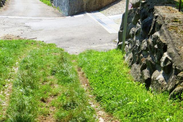 #20925 Appezzamento boschivo collinare di 440 mq in vendita - foto 12