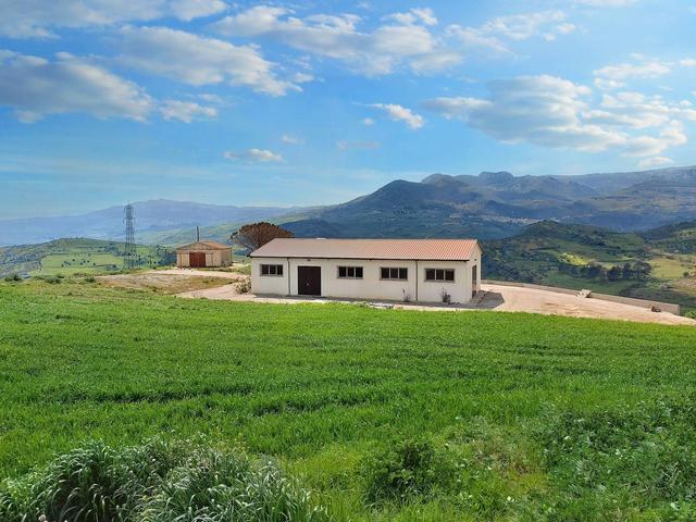 Agricoli in vendita