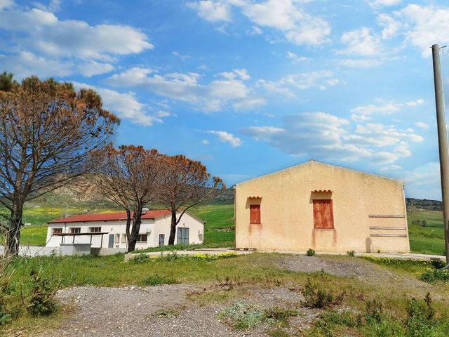 Agricoli in vendita