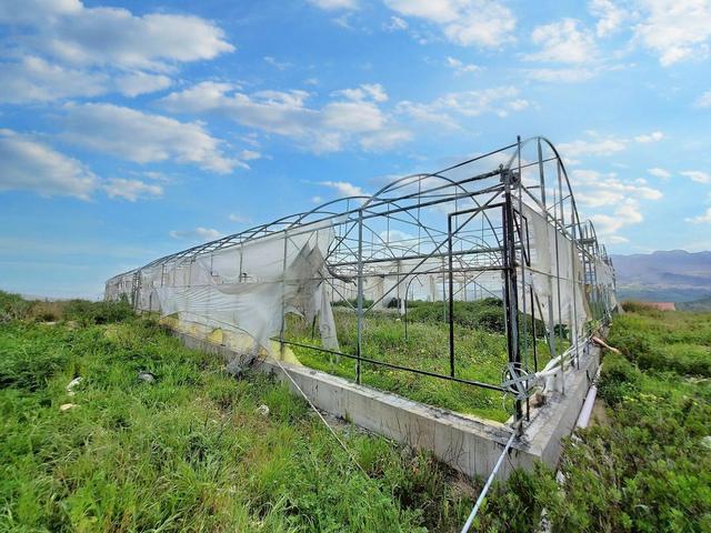 Agricoli in vendita
