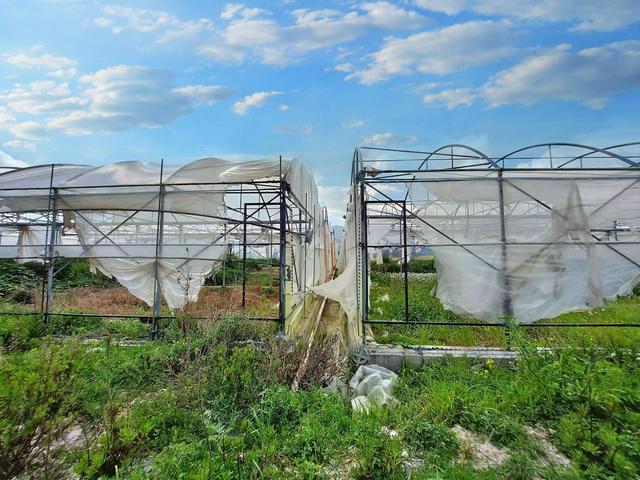 Agricoli in vendita