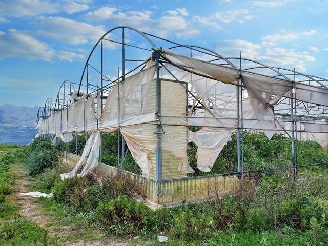 Agricoli in vendita