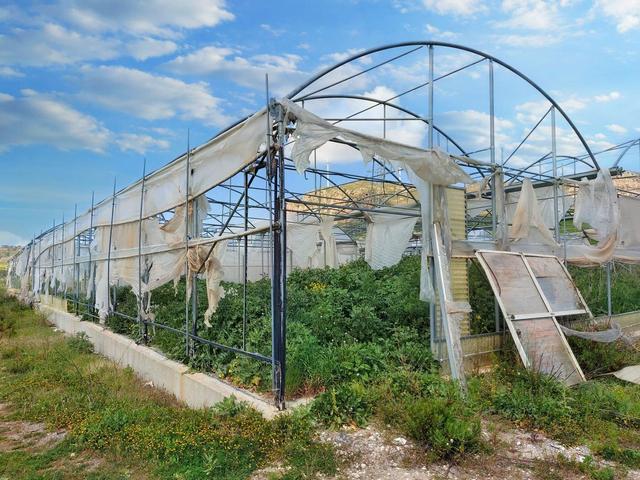 Agricoli in vendita