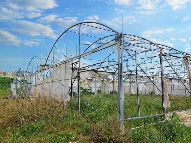 #19821 Terreni agricoli con capannoni e serre in vendita - foto 2
