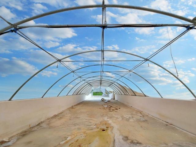 Agricoli in vendita