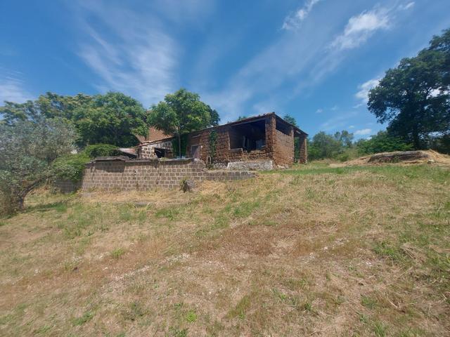 Agricoli in vendita