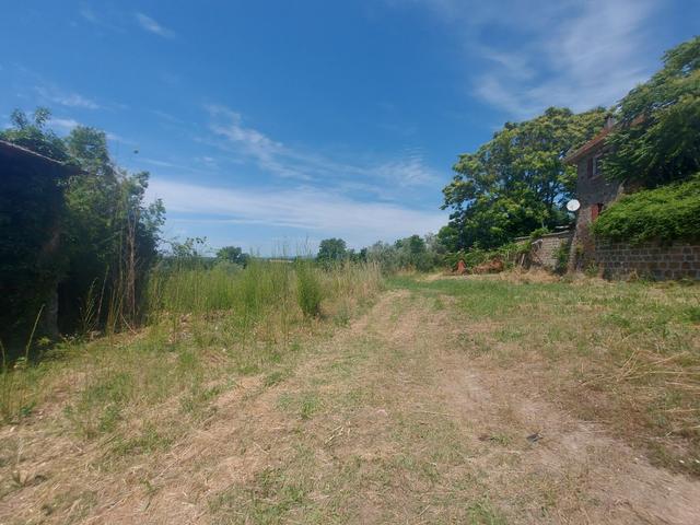 Agricoli in vendita