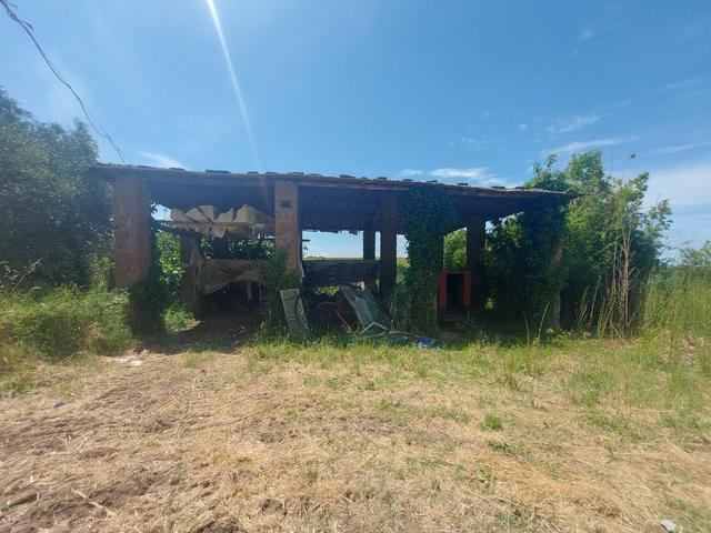 Agricoli in vendita