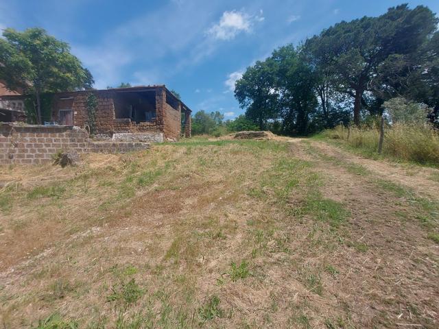 Agricoli in vendita