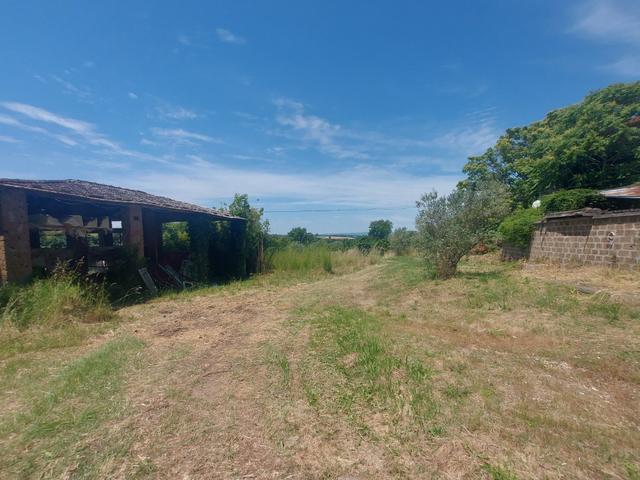 Agricoli in vendita