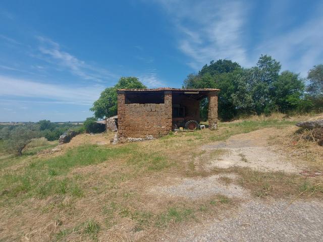 Agricoli in vendita