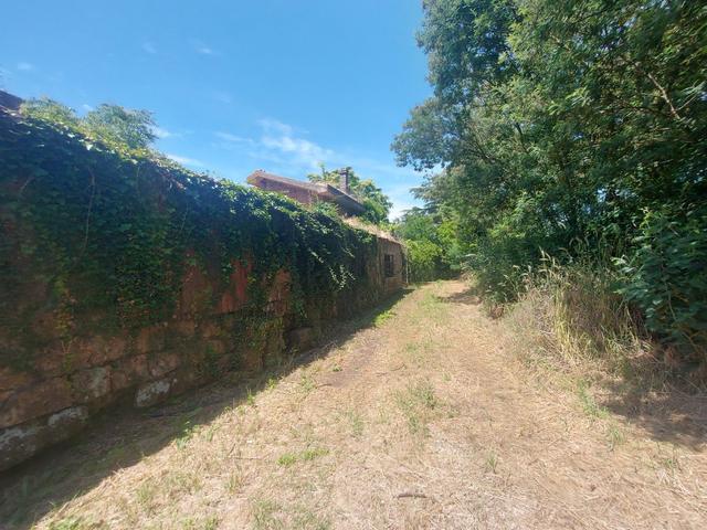Agricoli in vendita