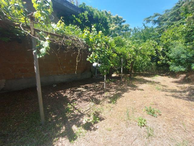 Agricoli in vendita