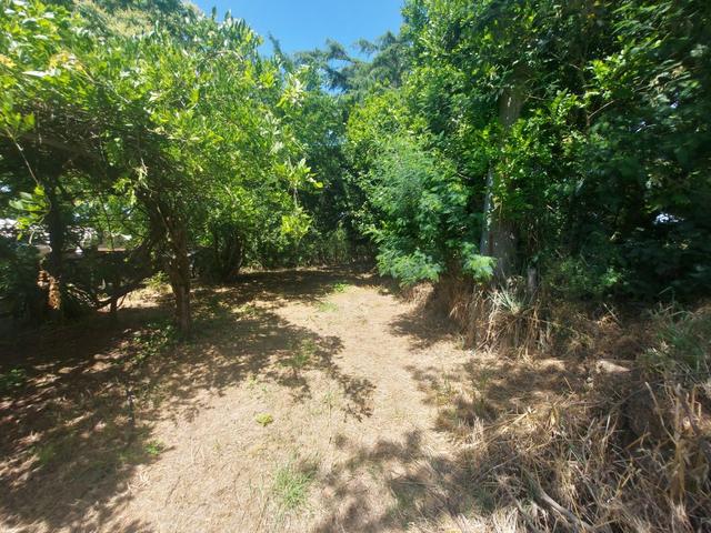 Agricoli in vendita