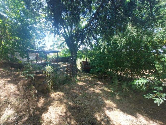 Agricoli in vendita